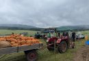 Nachlese Kartoffelfest
