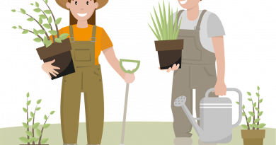 Gemeinsam für mehr Grün: Pflanzaktion am Sportplatz