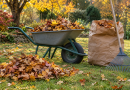 Für Gartenbesitzer relevant: Das Laub entsorgen